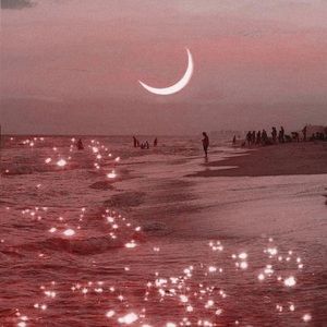 Meet your Posher, Sage